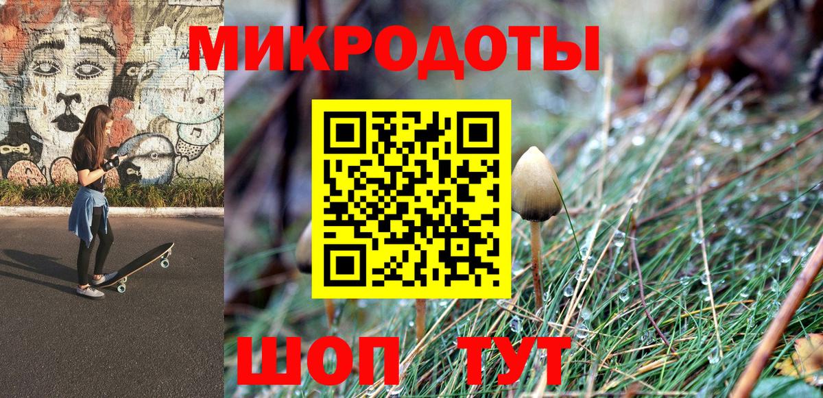 Сосновый Бор  Псилоцибиновые грибы мицелий  Вход с VPN 