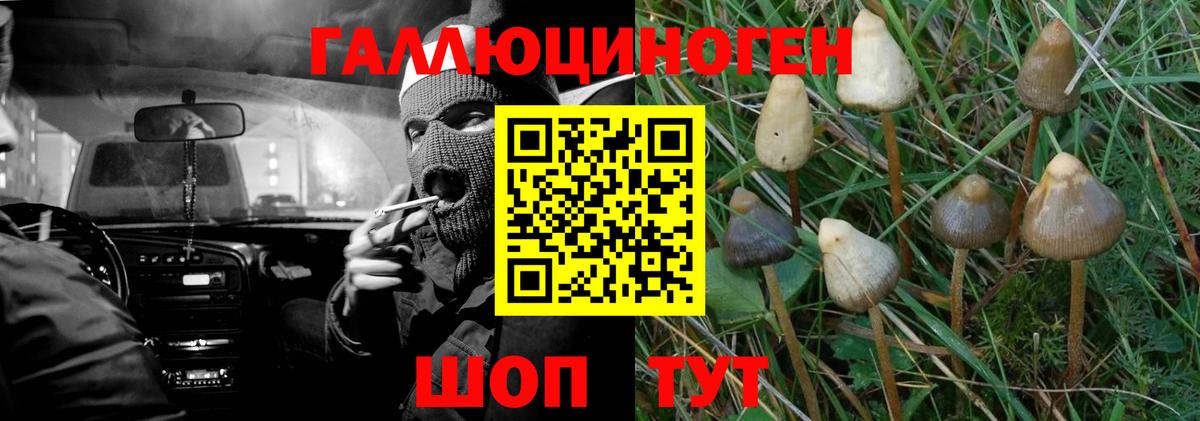 Псилоцибиновые грибы Magic Shrooms Сосновый Бор